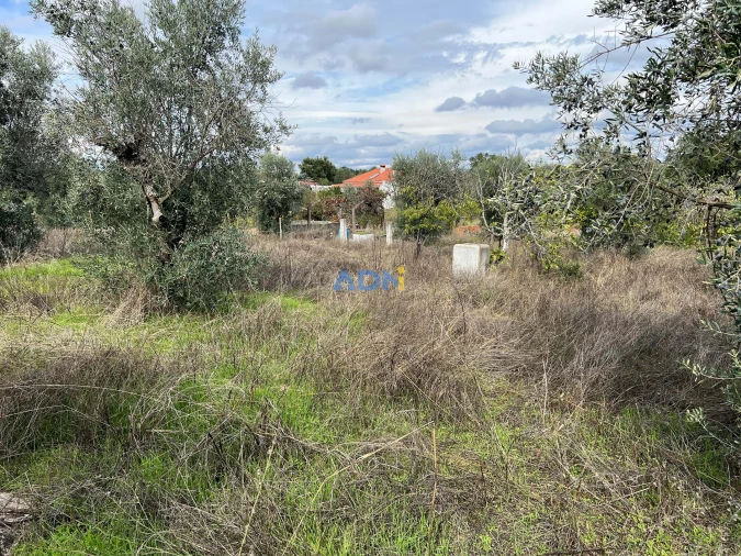 Terreno para Venda em Castelo Branco Foto 9