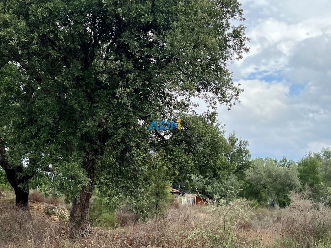 Terreno para Venda em Castelo Branco Foto 3