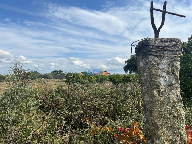 Terreno para Venda em Castelo Branco Foto 24