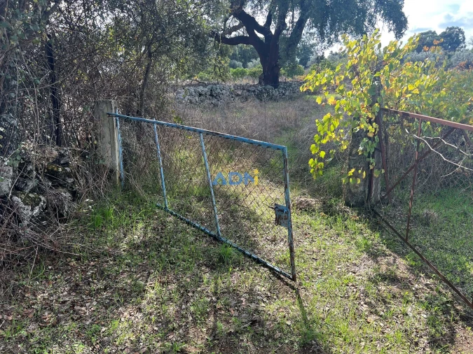 Terreno para Venda em Castelo Branco Foto 29
