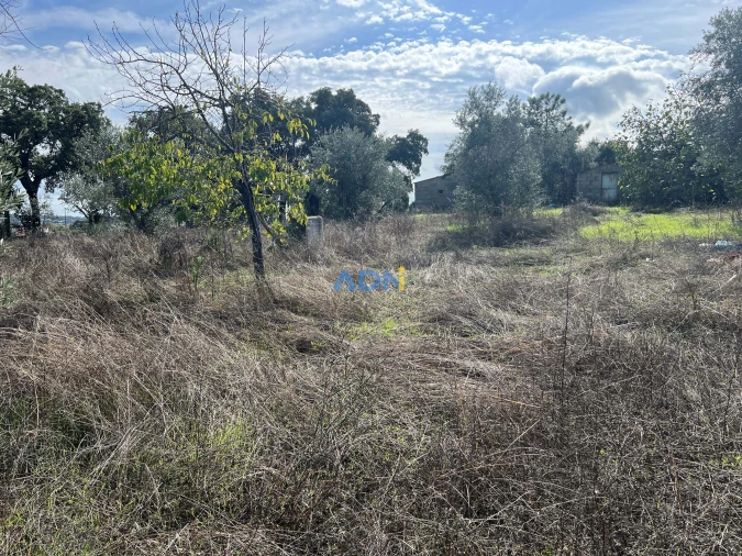 Terreno para Venda em Castelo Branco Foto 25