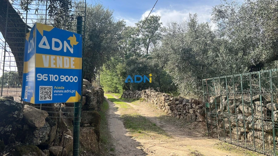 Terreno para Venda em Castelo Branco Foto 2