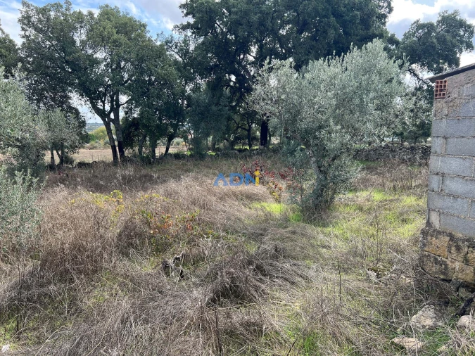 Terreno para Venda em Castelo Branco Foto 8
