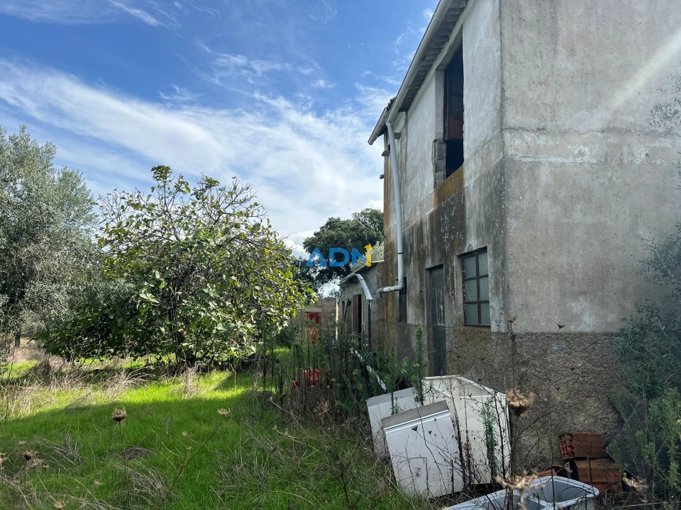 Terreno para Venda em Castelo Branco Foto 17