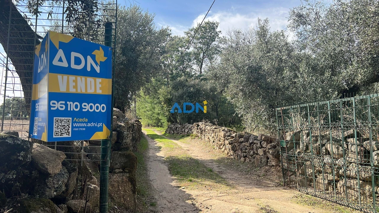 Terreno para Venda em Castelo Branco Foto 2
