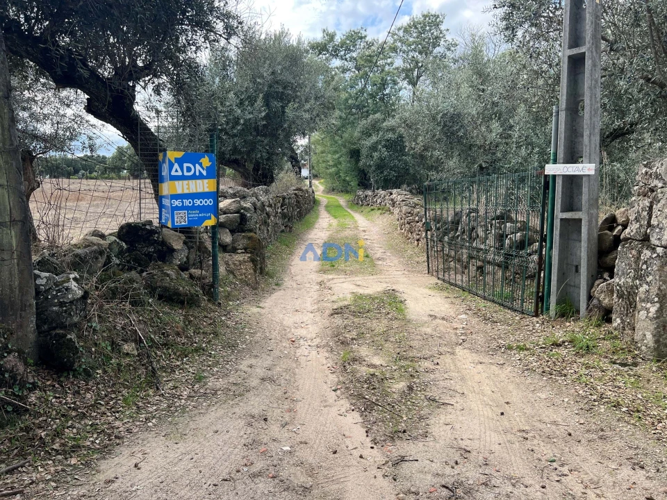 Terreno para Venda em Castelo Branco Foto 7