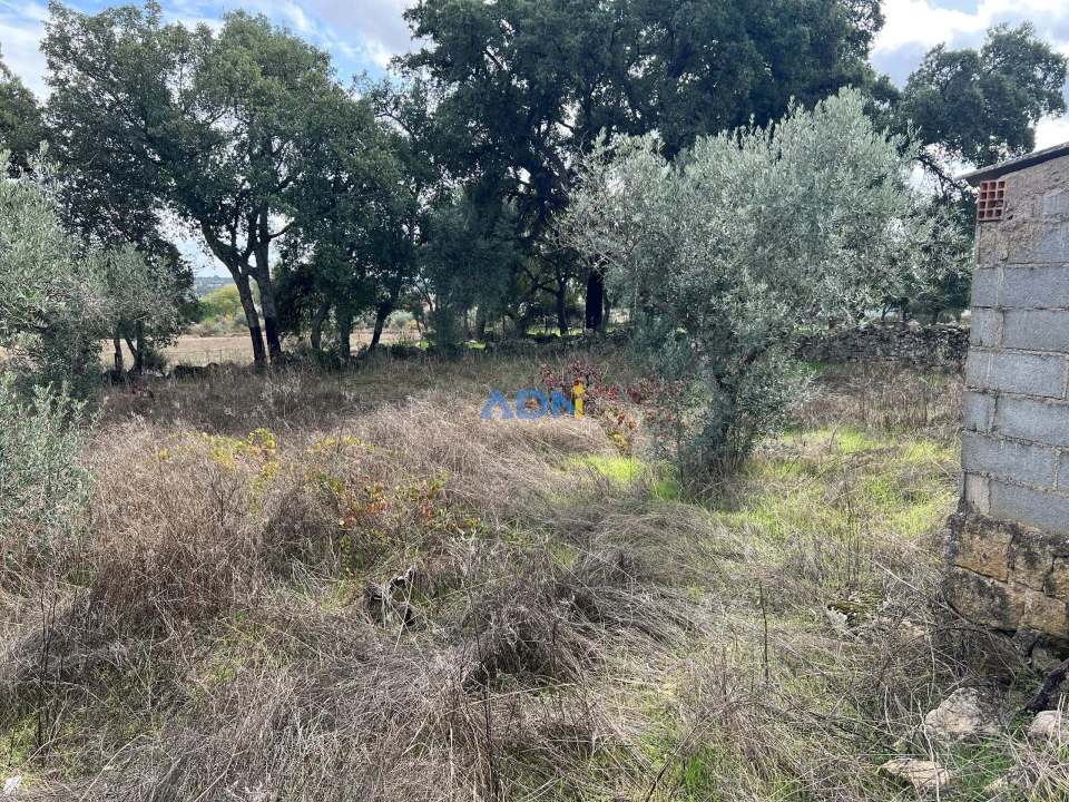 Terreno para Venda em Castelo Branco Foto 8