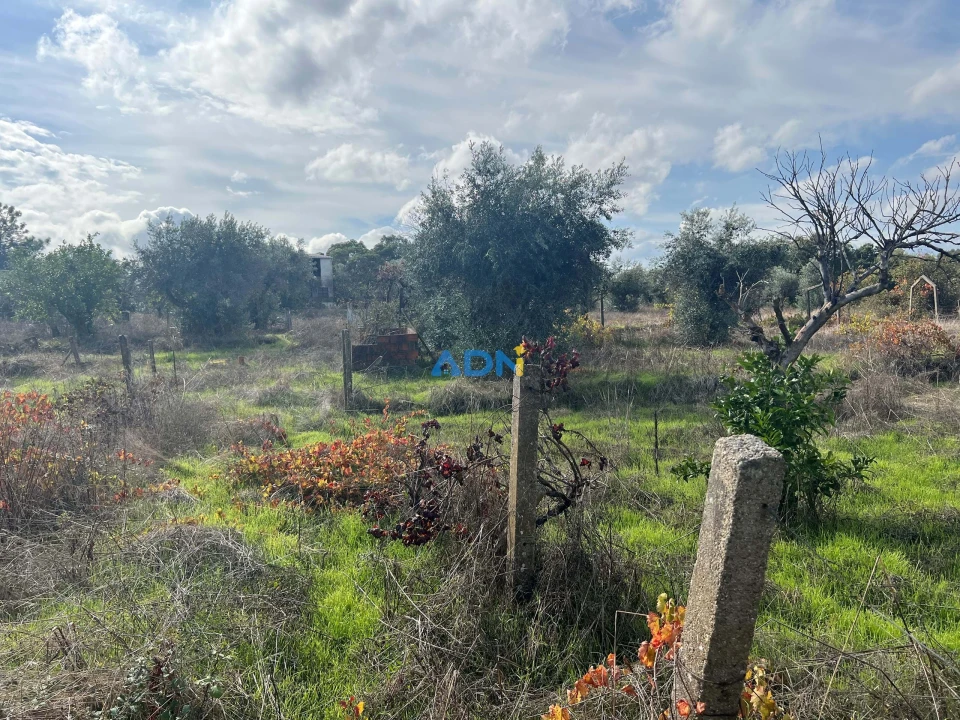 Terreno para Venda em Castelo Branco Foto 28