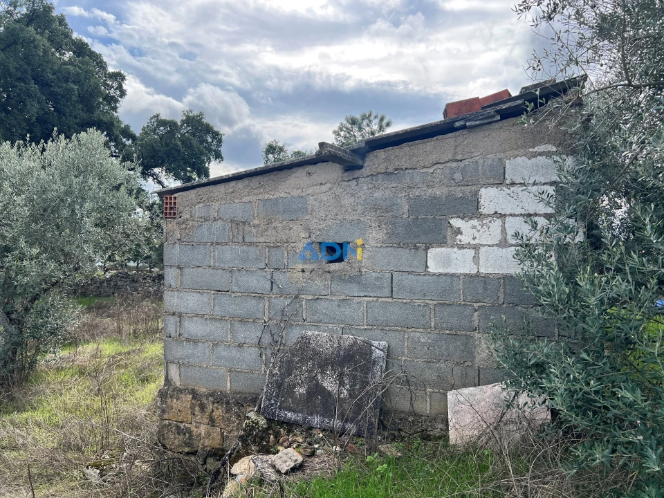 Terreno para Venda em Castelo Branco Foto 13
