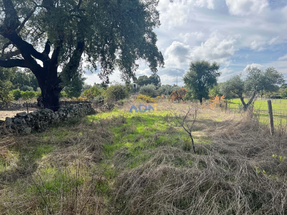 Terreno para Venda em Castelo Branco Foto 26