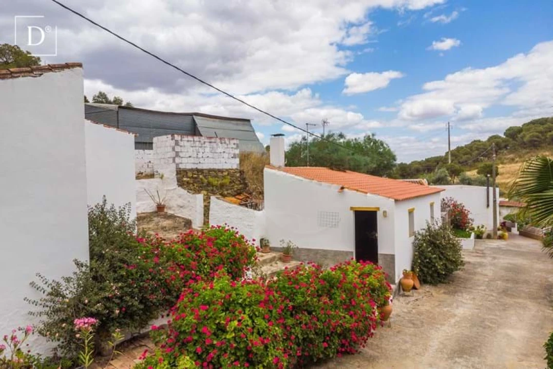 Moradia T3 para Venda em Mertola Foto 25