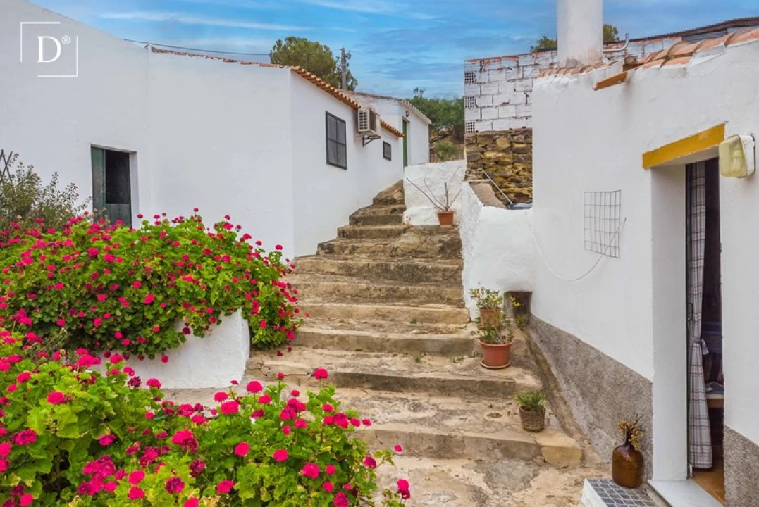 Moradia T3 para Venda em Mertola Foto 4