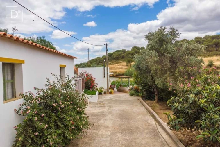 Moradia T3 para Venda em Mertola Foto 26