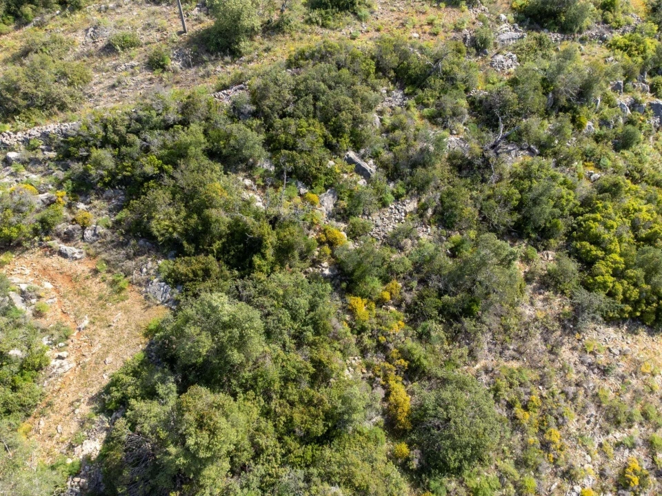 Terreno para Venda em Santa Barbara de Nexe Foto 25