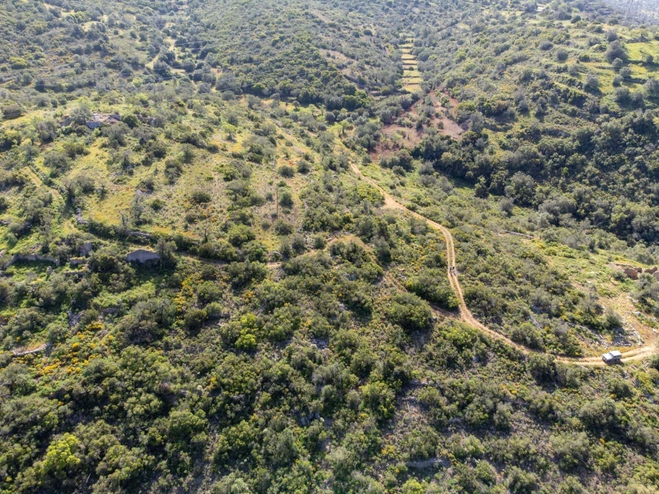 Terreno para Venda em Santa Barbara de Nexe Foto 23