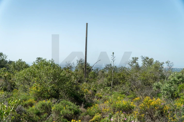Terreno para Venda em Santa Barbara de Nexe Foto 14