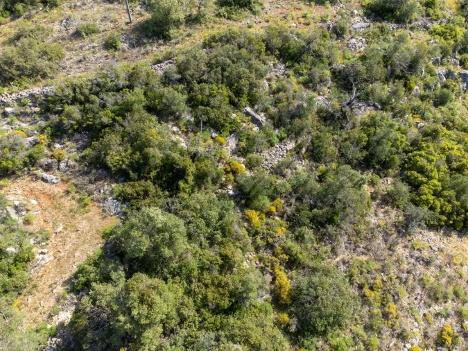 Terreno para Venda em Santa Barbara de Nexe Foto 25