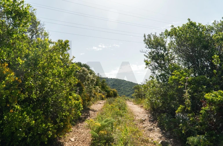 Terreno para Venda em Santa Barbara de Nexe Foto 2