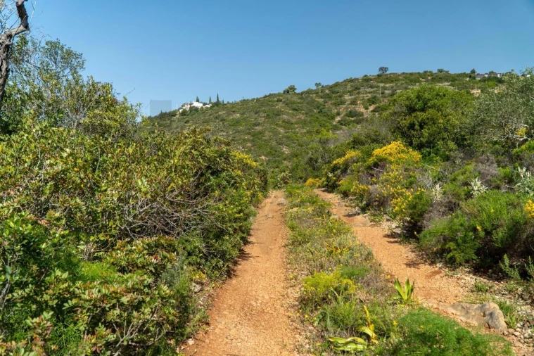 Terreno para Venda em Santa Barbara de Nexe Foto 9