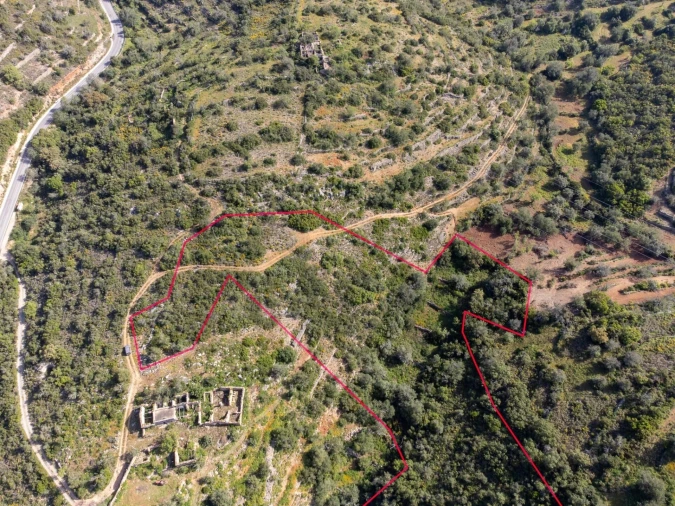 Terreno para Venda em Santa Barbara de Nexe Foto 5