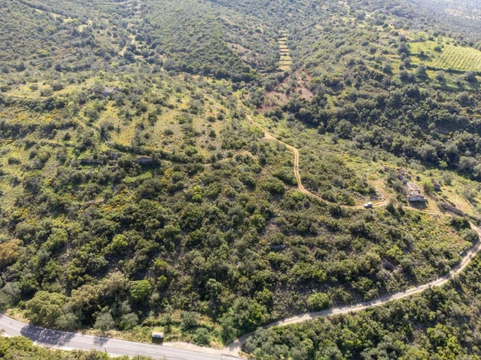 Terreno para Venda em Santa Barbara de Nexe Foto 19