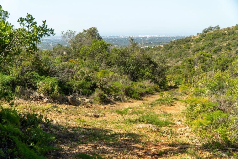 Terreno para Venda em Santa Barbara de Nexe Foto 6