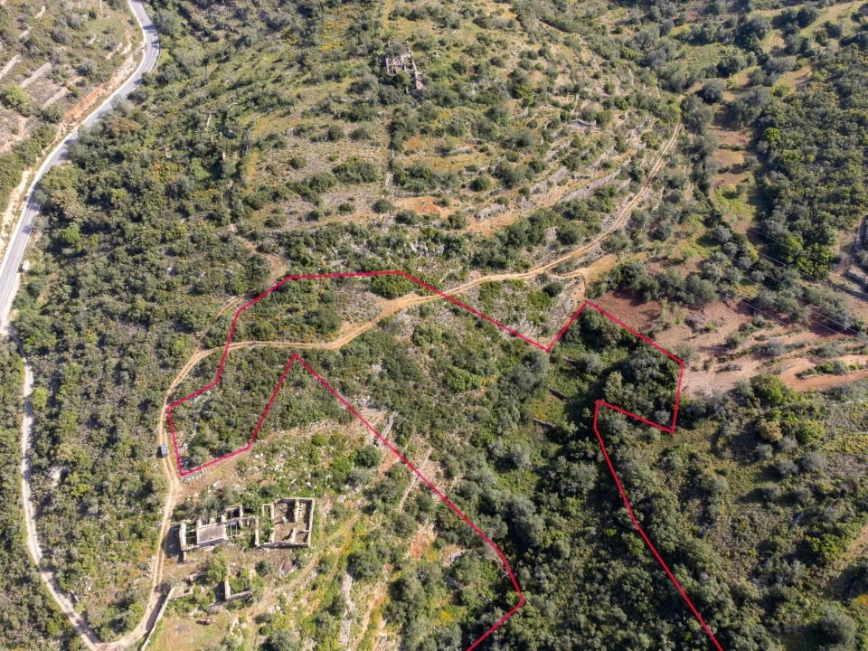 Terreno para Venda em Santa Barbara de Nexe Foto 5