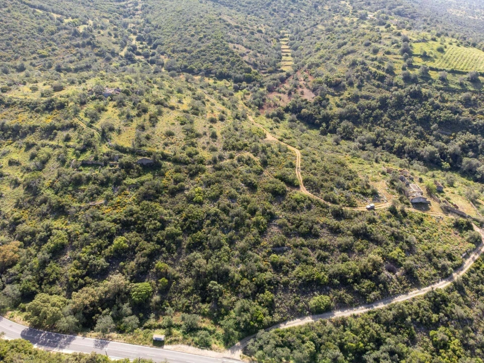 Terreno para Venda em Santa Barbara de Nexe Foto 19