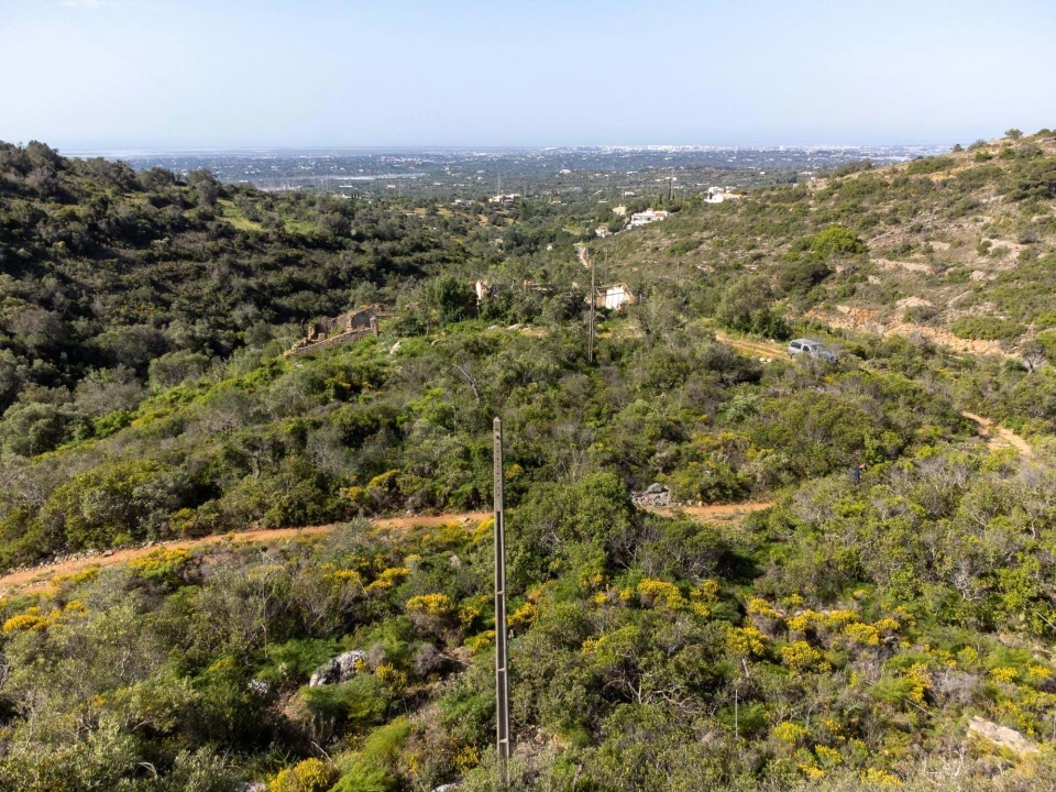 Terreno para Venda em Santa Barbara de Nexe Foto 24