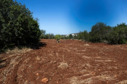 Moradia T3 para Venda em Boliqueime
