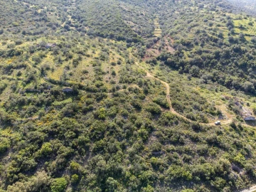 Terreno para Venda em Santa Barbara de Nexe