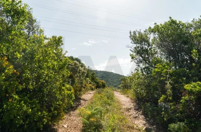 Terreno para Venda em Santa Barbara de Nexe