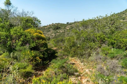 Terreno para Venda em Santa Barbara de Nexe