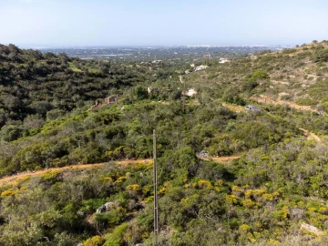 Terreno para Venda em Santa Barbara de Nexe