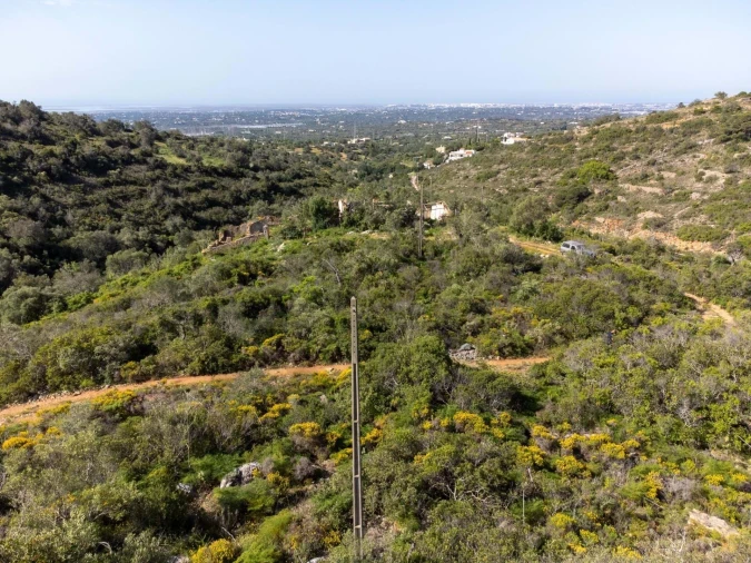 Terreno para Venda em Santa Barbara de Nexe Foto 24