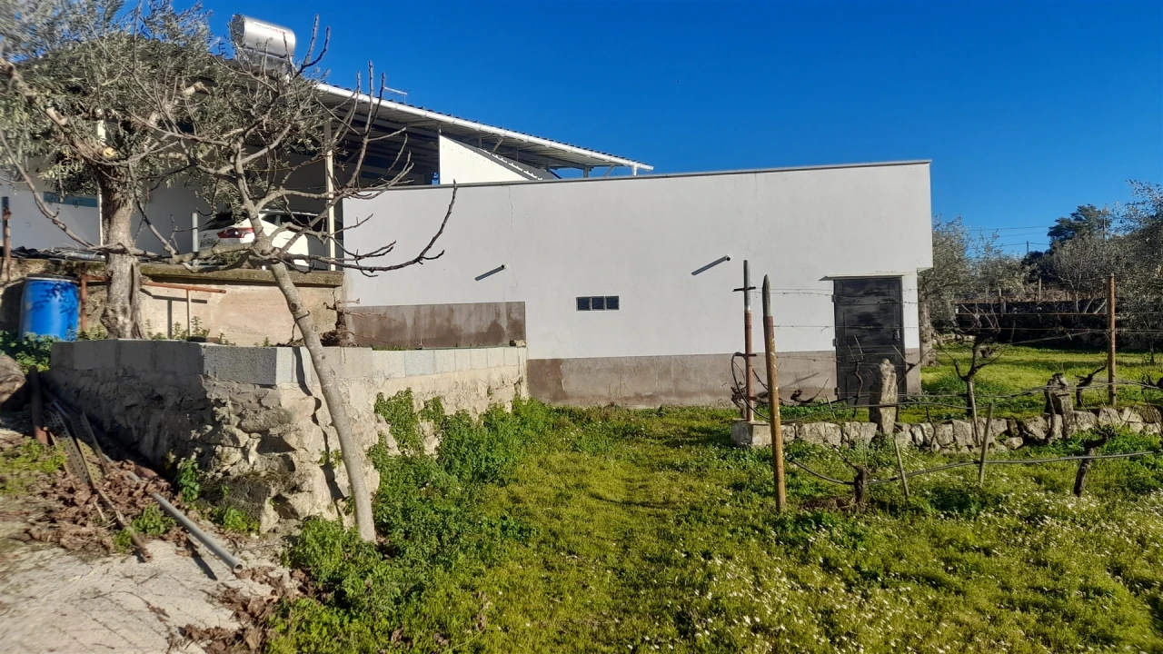 Quinta T0 para Venda em Escalos de Baixo e Mata Foto 49