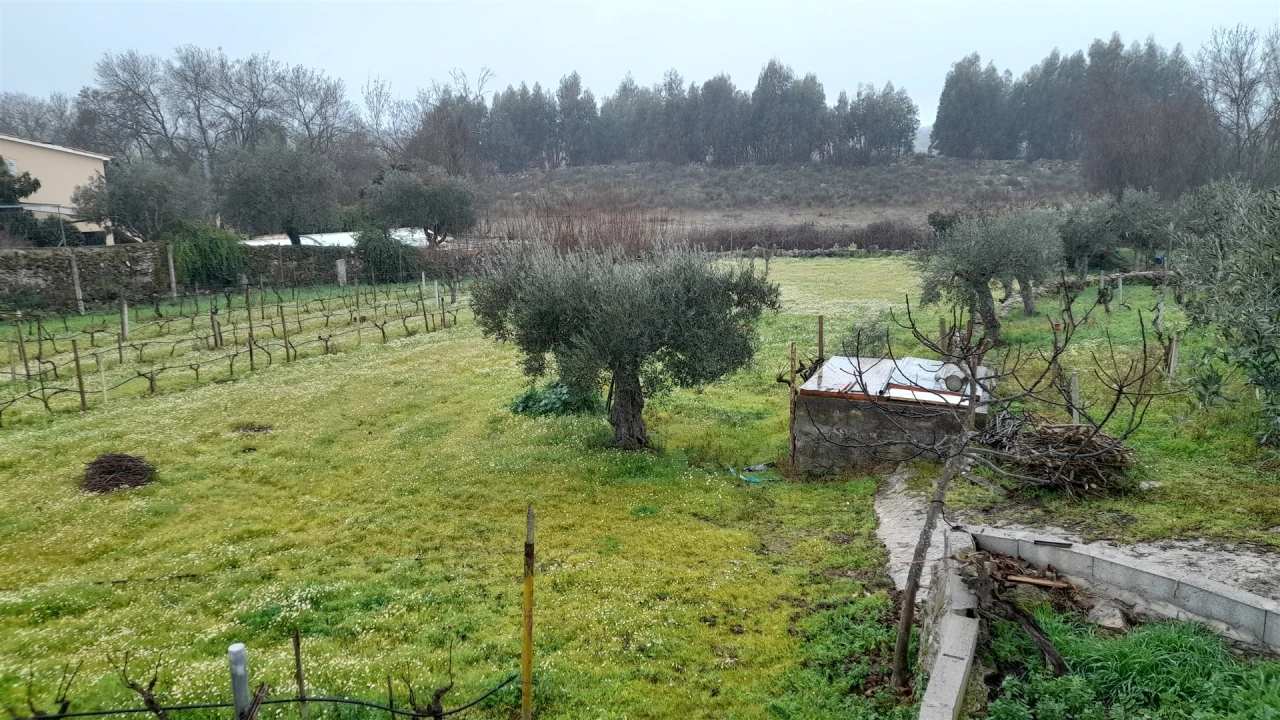 Quinta T0 para Venda em Escalos de Baixo e Mata Foto 7