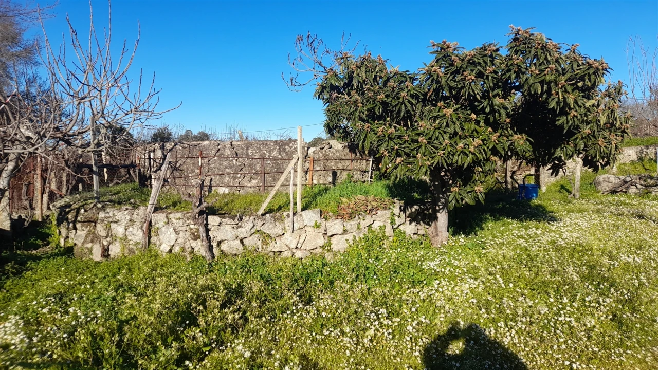 Quinta T0 para Venda em Escalos de Baixo e Mata Foto 45