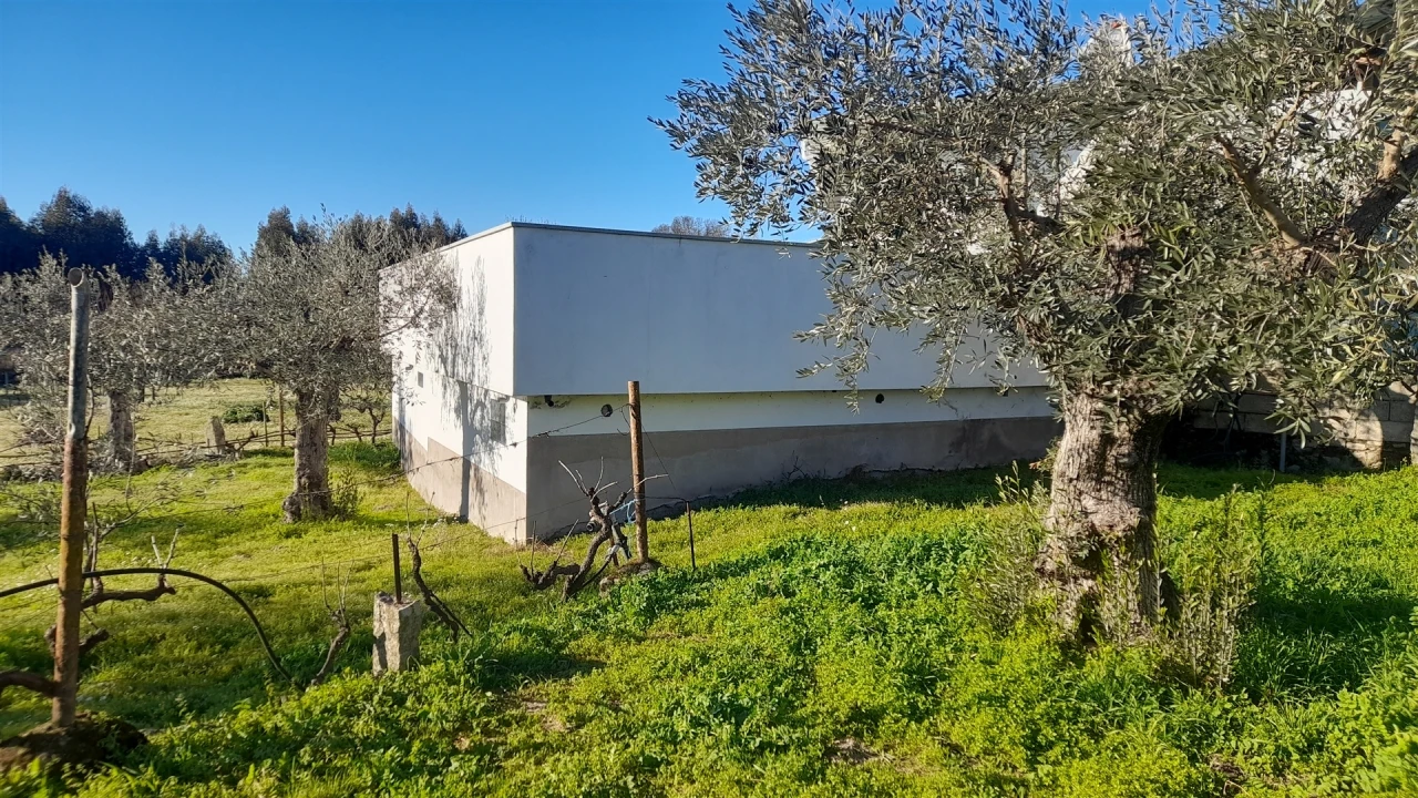 Quinta T0 para Venda em Escalos de Baixo e Mata Foto 35