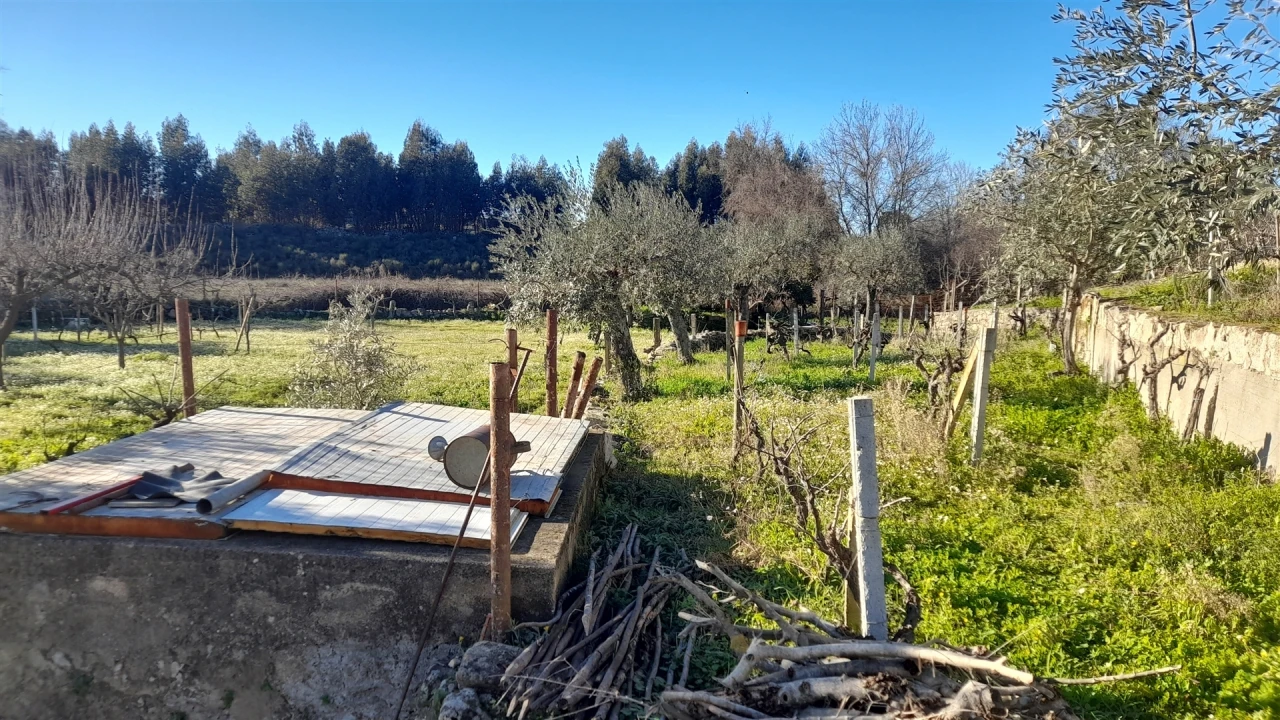 Quinta T0 para Venda em Escalos de Baixo e Mata Foto 40