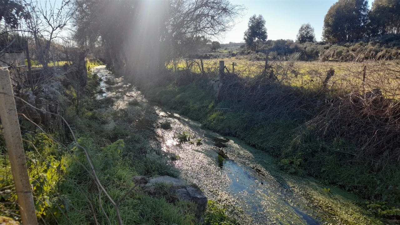 Quinta T0 para Venda em Escalos de Baixo e Mata Foto 44