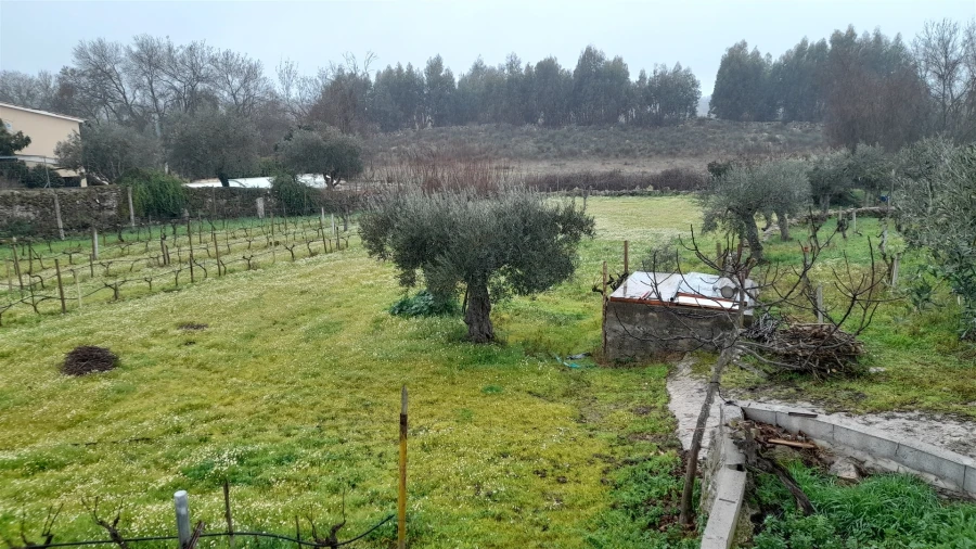 Quinta T0 para Venda em Escalos de Baixo e Mata Foto 7