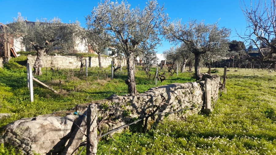 Quinta T0 para Venda em Escalos de Baixo e Mata Foto 48