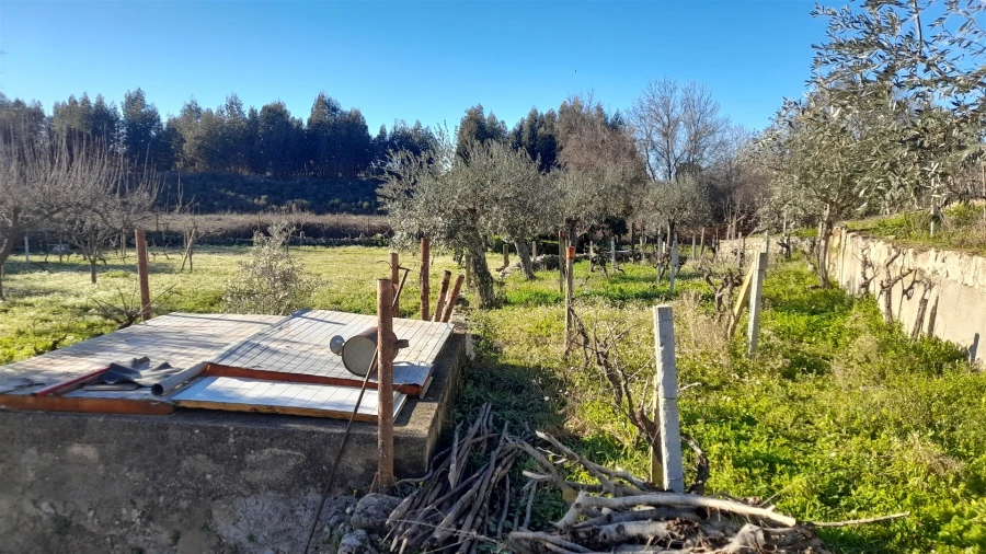 Quinta T0 para Venda em Escalos de Baixo e Mata Foto 40