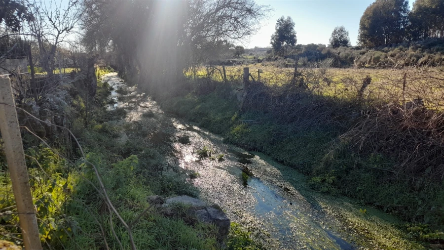 Quinta T0 para Venda em Escalos de Baixo e Mata Foto 44