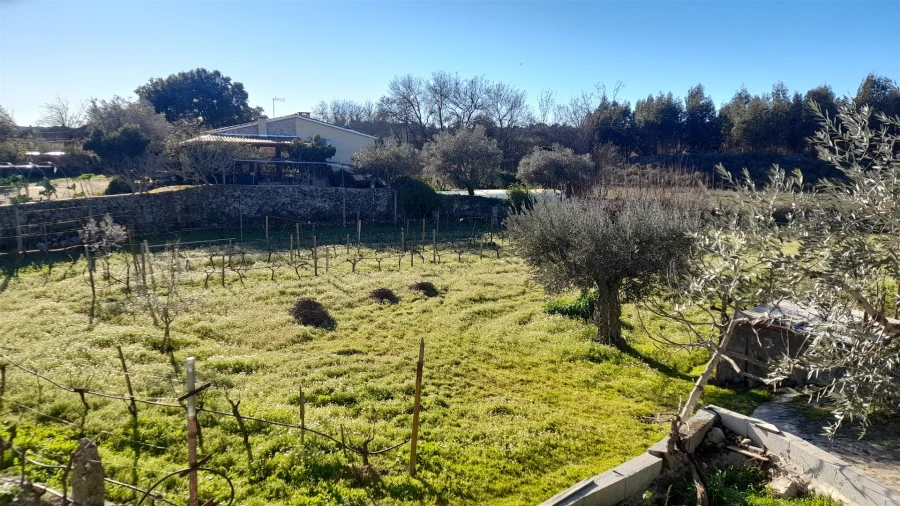 Quinta T0 para Venda em Escalos de Baixo e Mata Foto 39