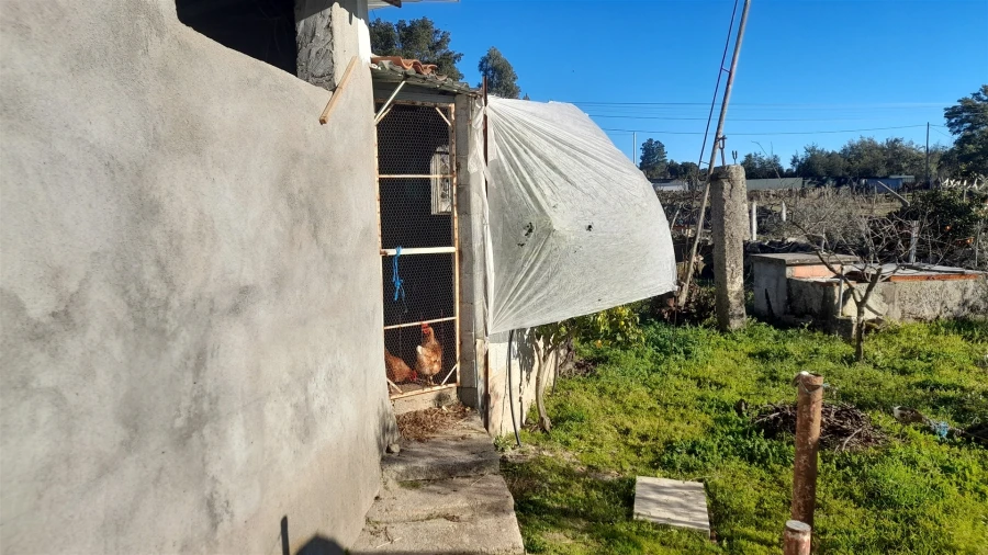 Quinta T0 para Venda em Escalos de Baixo e Mata Foto 33