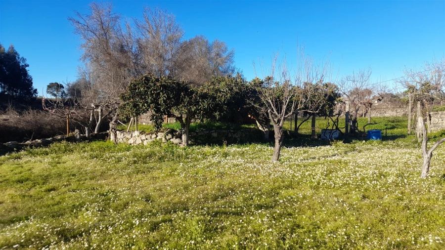 Quinta T0 para Venda em Escalos de Baixo e Mata Foto 43