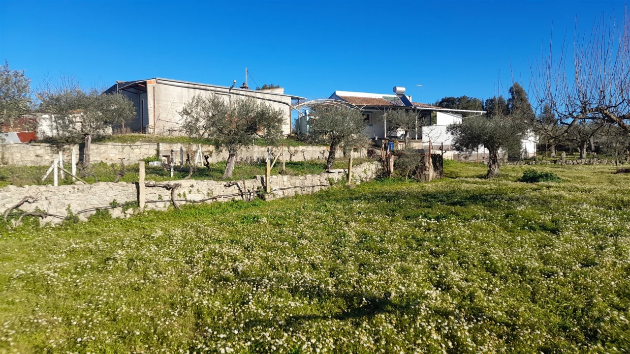 Quinta T0 para Venda em Escalos de Baixo e Mata Foto 42