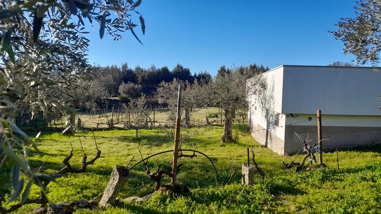 Quinta T0 para Venda em Escalos de Baixo e Mata Foto 36